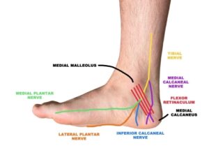 ankle pain